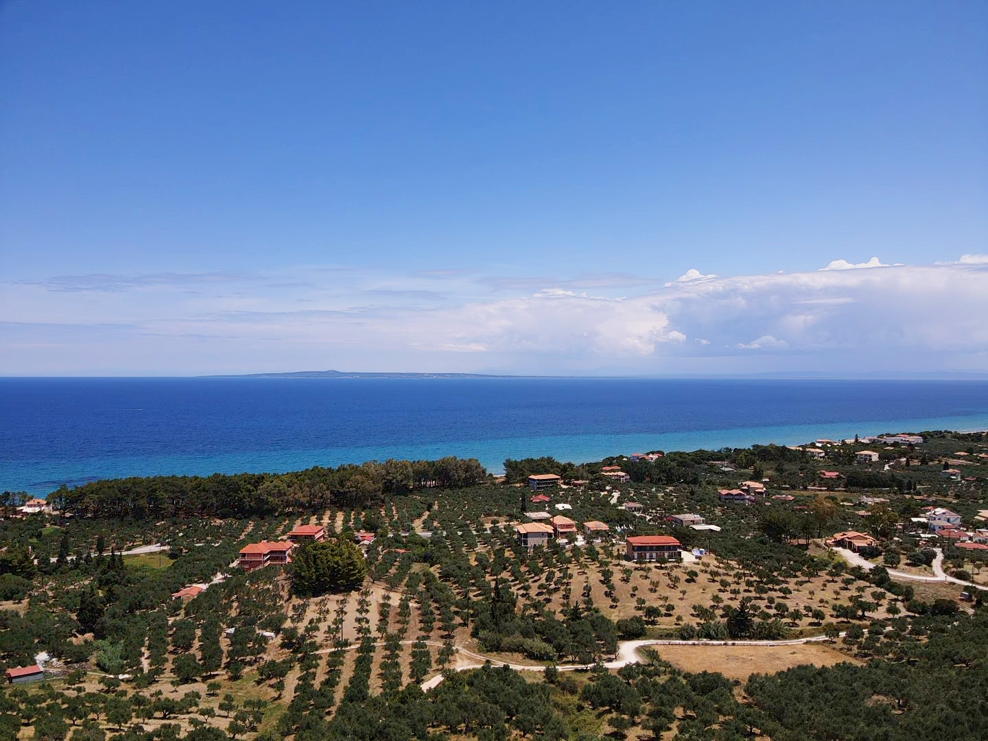 Vasilikos 28